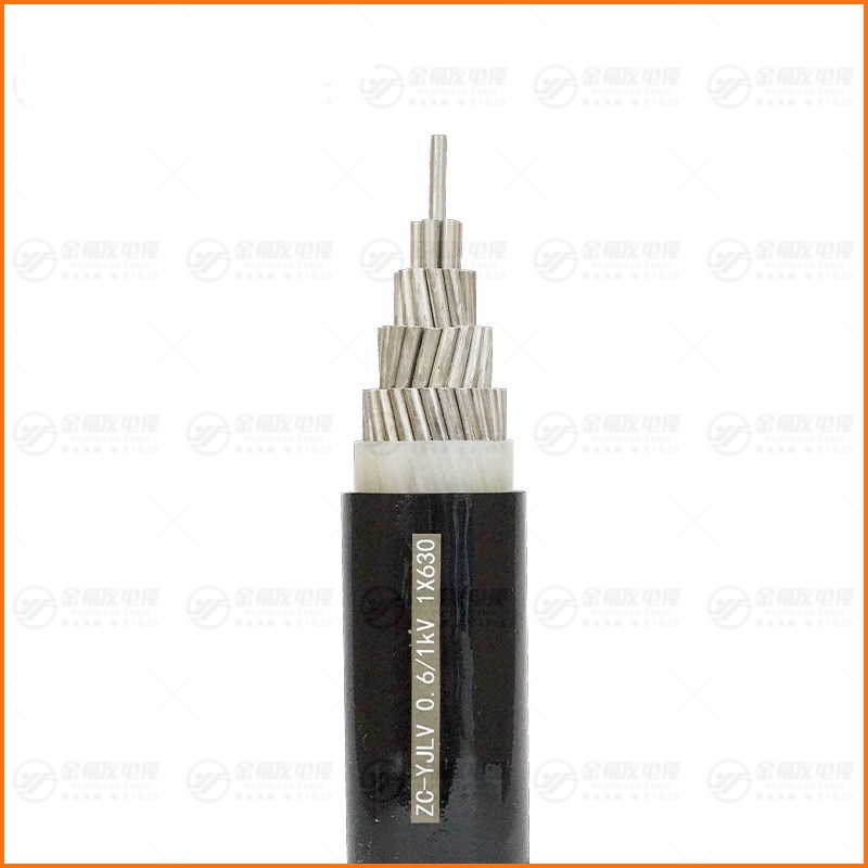 ‌ZC-YJLV 0.6/1kV 1X630