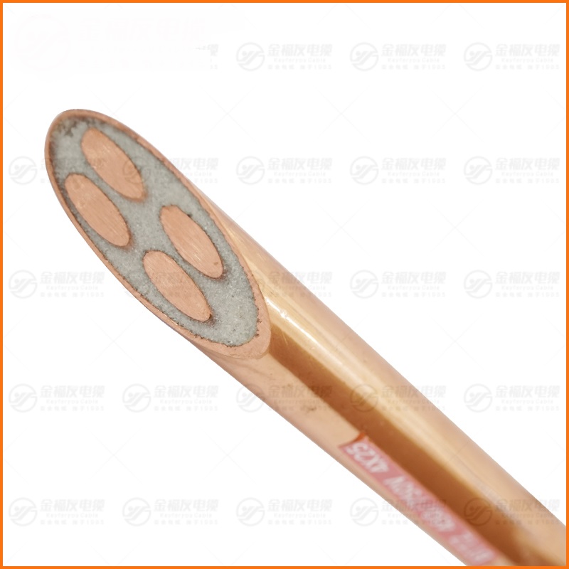 BTTZ 450 750V 4X25