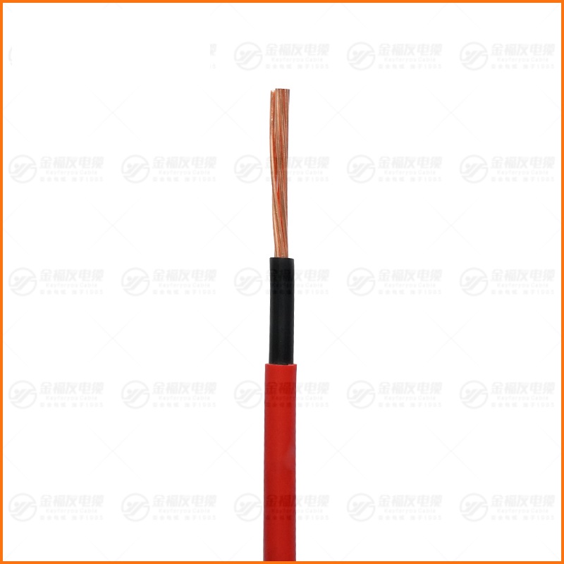 ZB-BVV 1X10