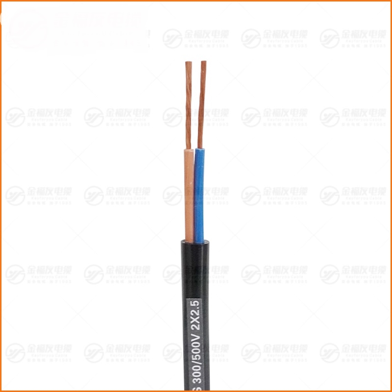 JHS防水橡套电缆 300-500V 2X2.5
